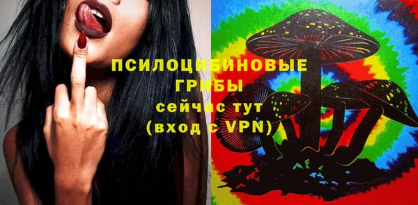 спайс Алексеевка