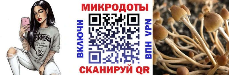 где можно купить наркотик Алапаевск Псилоцибиновые грибы GOLDEN TEACHER